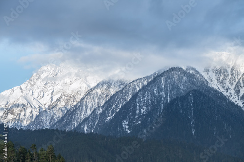 snow mountains and forests
