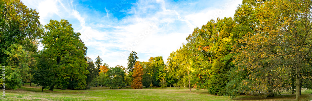 Panorama from Public Park in Autumn