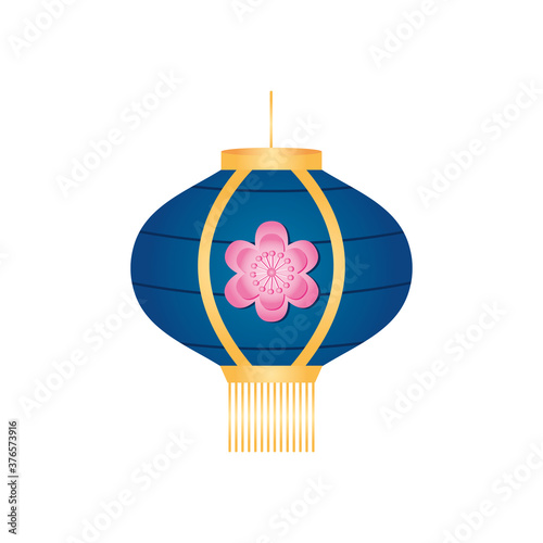 decorarive chinese lantern with flower icon, detailed style photo