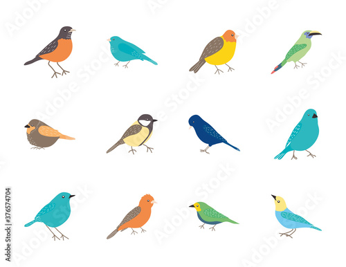 cartoon birds icon set, flat style