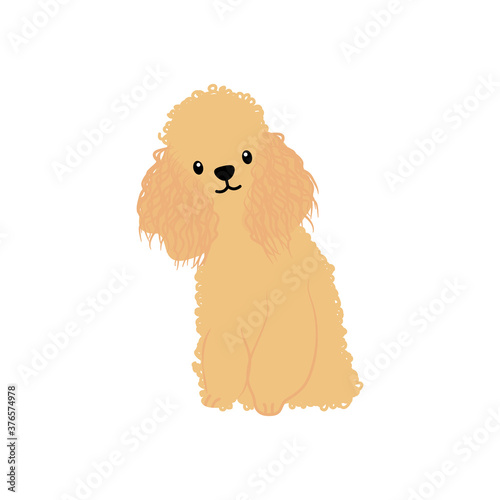 small spitz dog icon, flat style