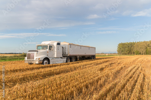 a white semi truck sitting in a grain field