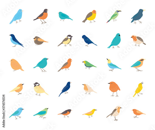 icon set of birds  flat style