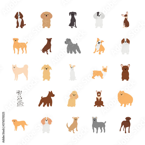 cartoon dogs and boxer icon set, flat style