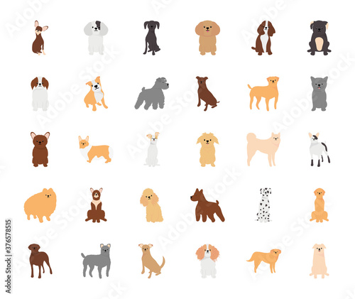 Fototapeta Naklejka Na Ścianę i Meble -  cute dogs icon set, flat style