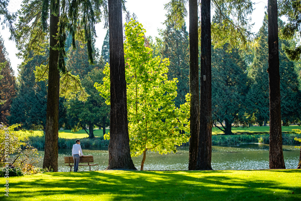 Obraz premium autumn in the park