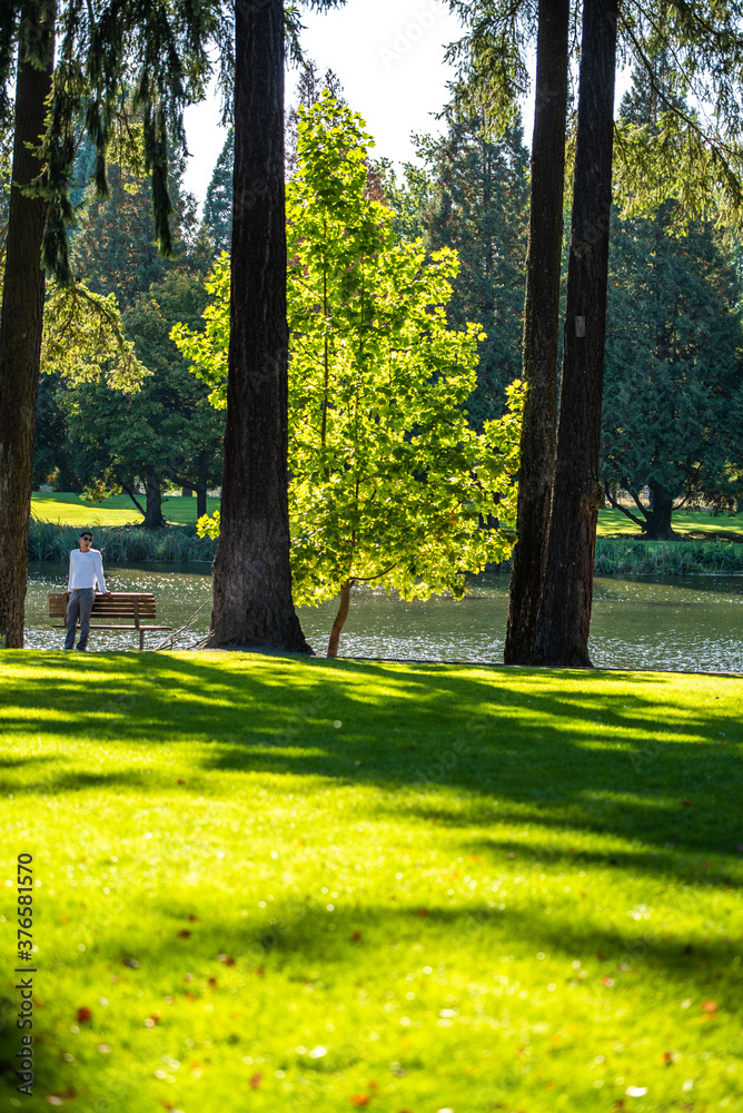 Obraz premium autumn in the park