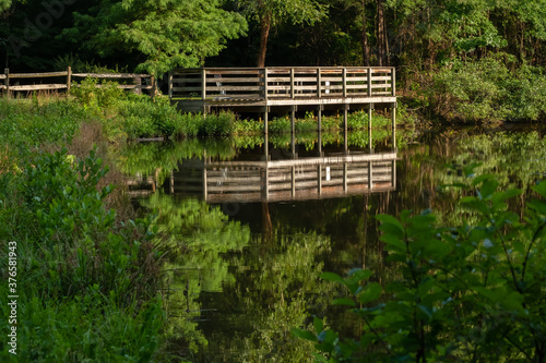 Overlooking the overlook across the pond a Crowder County Park in Apex, North Carolina.