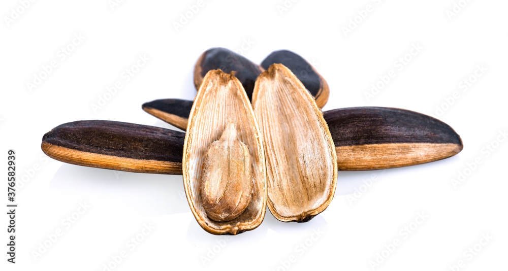 sun flower seed isolated on white background - Image