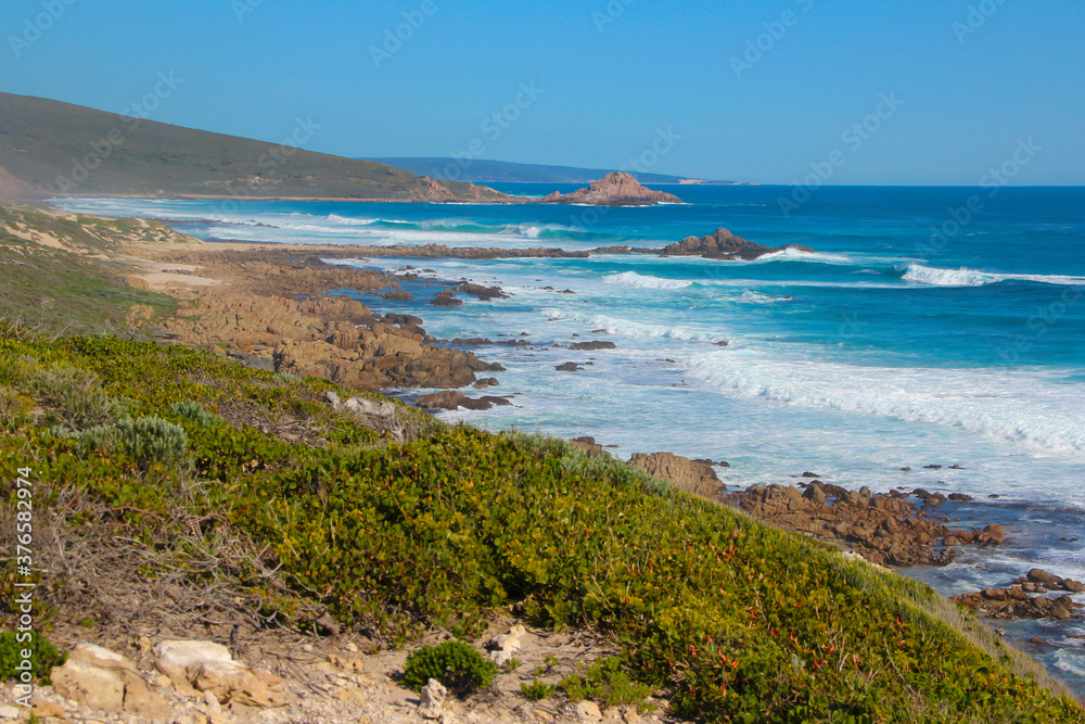 Obraz premium Scenic ancient Sugar Loaf Rock South Western Australia in the blue Indian Ocean is a popular fishing and hiking destination with its treeless green dunes and splashing waves on old eroded rocks.