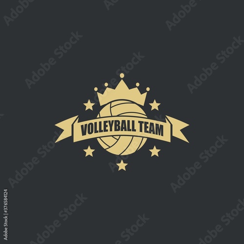 Illustration vector graphic of Volleyball logo. Retro Logo  Vintage Logo Design Template Inspiration