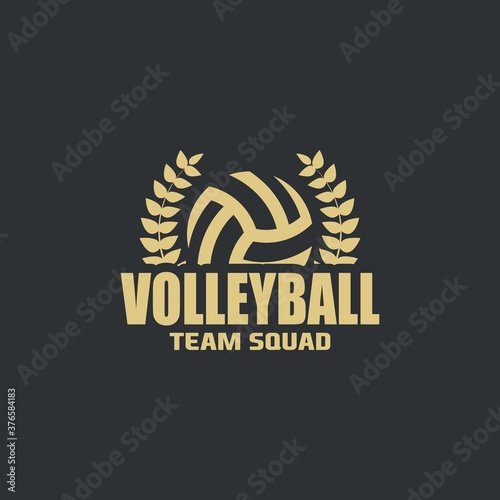 Illustration vector graphic of Volleyball logo. Retro Logo, Vintage Logo Design Template Inspiration