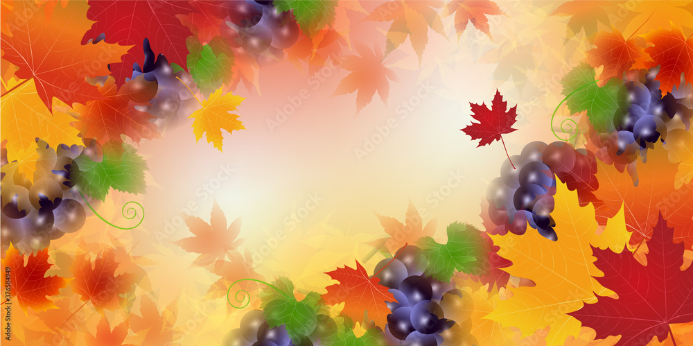 紅葉 もみじ 葡萄 背景 紅葉 もみじ 葡萄 背景