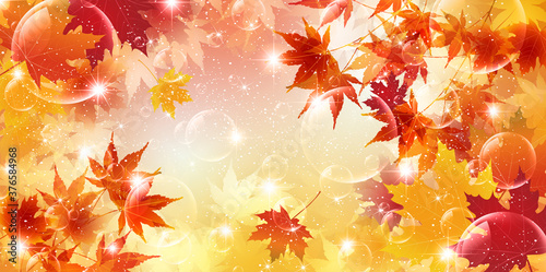 紅葉　もみじ　秋　背景
