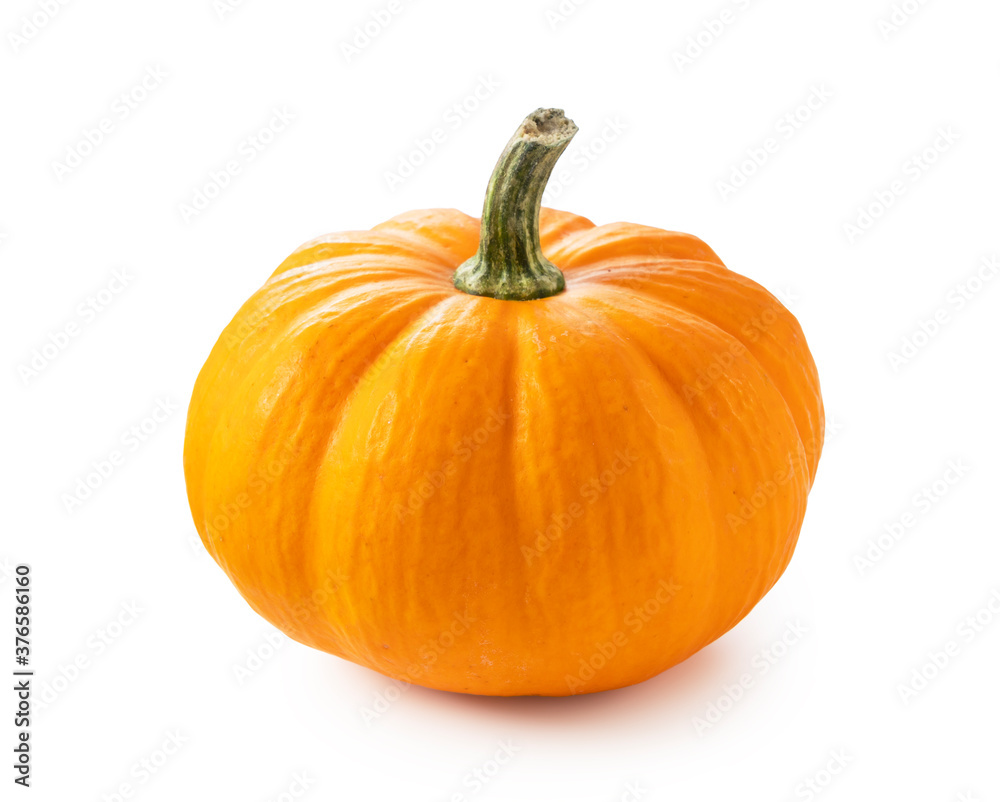 Obraz premium Pumpkin on a white background