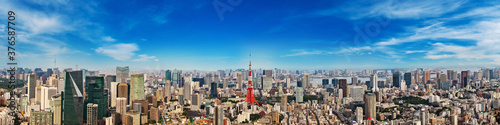 Cityscape of Tokyo skyline, panorama aerial skyscrapers view of office building and downtown in Tokyo on a sunny day. Japan, Asia.
