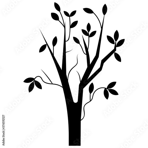 Shrub 
