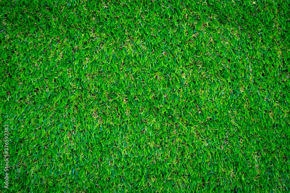 Fototapeta premium Green artificial grass floor nature