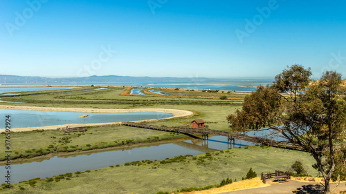 Photography Don Edwards San Francisco Bay National Wildlife Refuge California