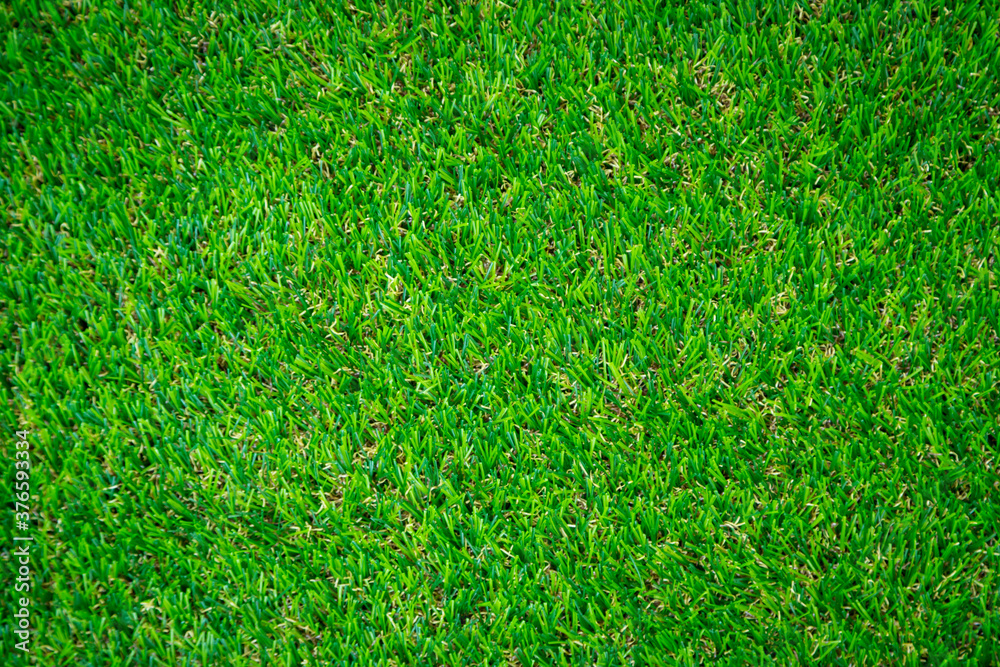 Fototapeta premium Green artificial grass floor nature