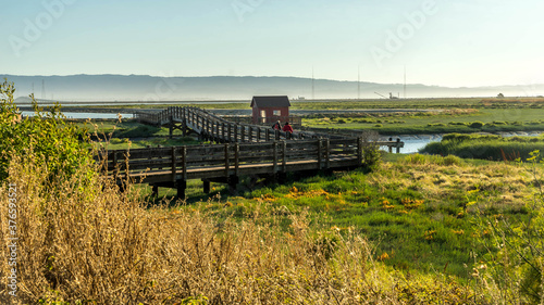 Don Edwards San Francisco Bay National Wildlife Refuge California