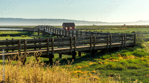 Photography Don Edwards San Francisco Bay National Wildlife Refuge California
