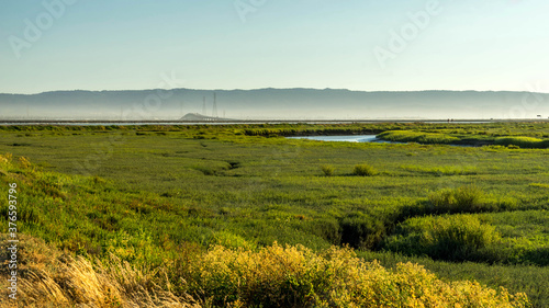Photography Don Edwards San Francisco Bay National Wildlife Refuge California