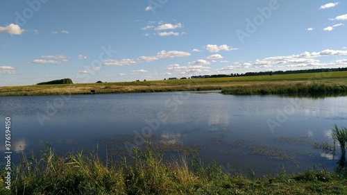 landscape with lake