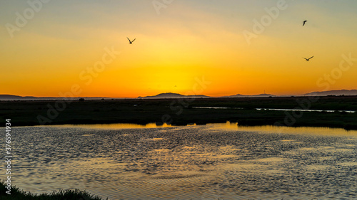 Don Edwards San Francisco Bay National Wildlife Refuge California photo