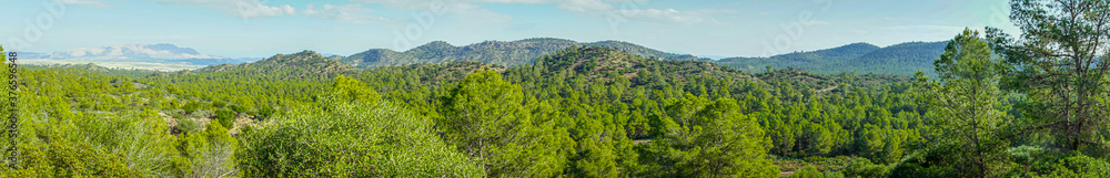 Panoramic landscape of Mediterranean pine forest in the region of Murcia. Spain.-