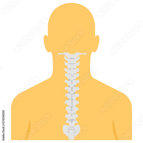 Cervical Spine 