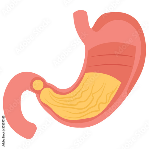 Stomach 