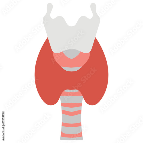 Thyroid Gland