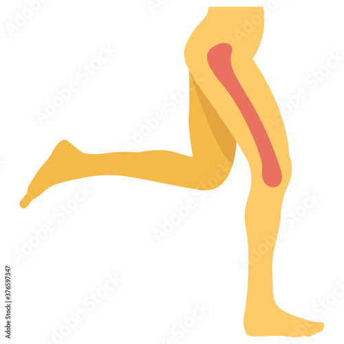 Leg Scan
