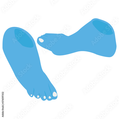 Prosthetic Foot