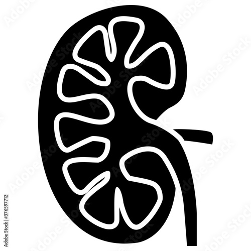 Human Kidneys