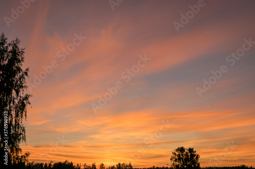 Fototapeta Naklejka Na Ścianę i Meble -  colorful sunset skies and black tree silhouettes, summer