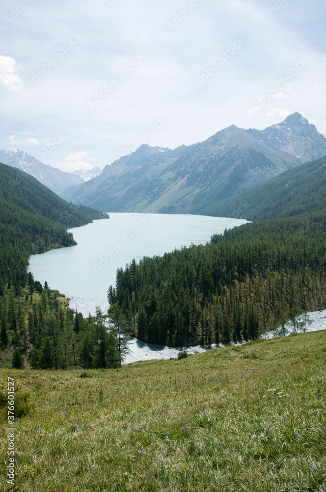 Summer view of Kucherlinskoye lake surrounded by Altai mountains and green forests, the Altai Republic, Russia