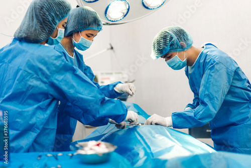 Professional anesthesiologist doctor medical team and assistant preparing patient to gynecological surgery performing operating with surgery equipment in modern hospital operation emergency room