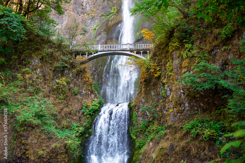 waterfall on the forest