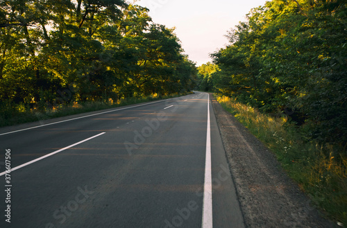The empty asphalt road in the forest in the evening