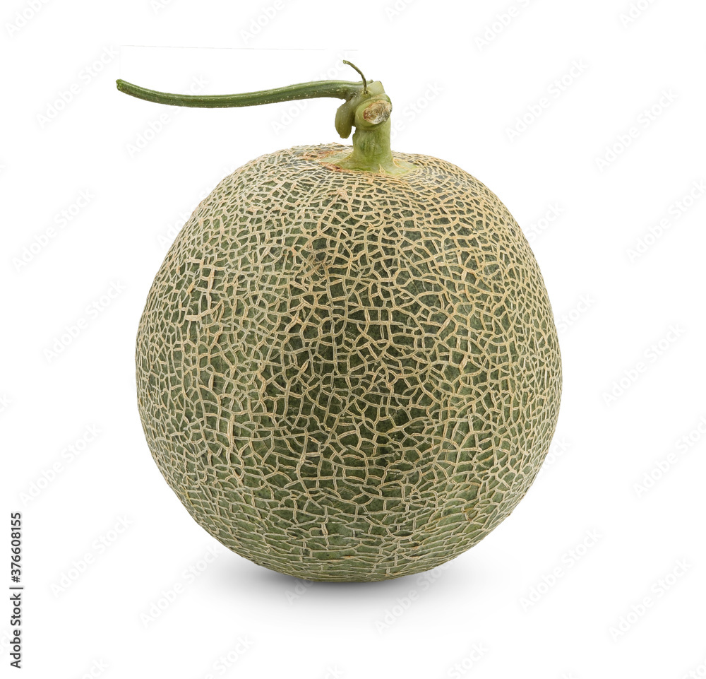 Melon fruits isolated on white background Melon fruits isolated on white background