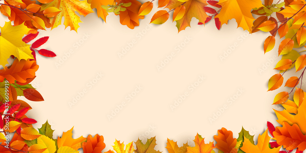Greetings and gifts for the autumn and autumn season concept. Autumn background, poster and banner template with colorful autumn leaves. Greetings and gifts for the autumn and autumn season concept. Autumn background, poster and banner template with colorful autumn leaves.