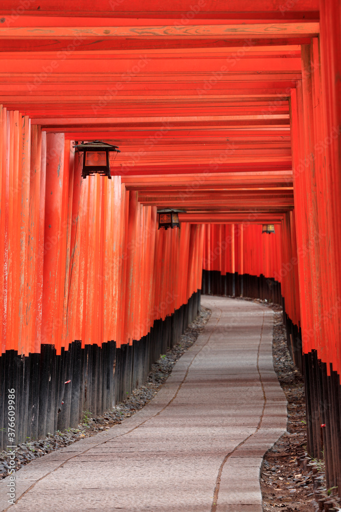 Fototapeta premium 誰もいない京都伏見稲荷大社の千本鳥居