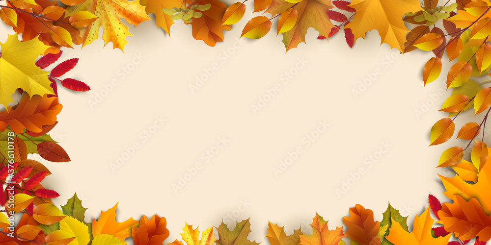 Greetings and gifts for the autumn and autumn season concept. Autumn background, poster and banner template with colorful autumn leaves. Greetings and gifts for the autumn and autumn season concept. Autumn background, poster and banner template with colorful autumn leaves.