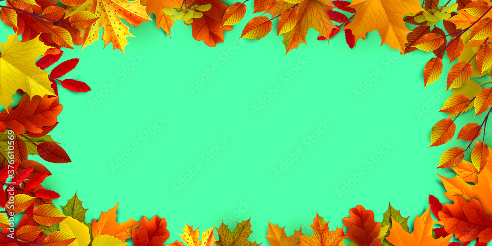 Greetings and gifts for the autumn and autumn season concept. Autumn background, poster and banner template with colorful autumn leaves. Greetings and gifts for the autumn and autumn season concept. Autumn background, poster and banner template with colorful autumn leaves.
