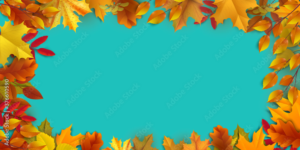 Greetings and gifts for the autumn and autumn season concept. Autumn background, poster and banner template with colorful autumn leaves. Greetings and gifts for the autumn and autumn season concept. Autumn background, poster and banner template with colorful autumn leaves.