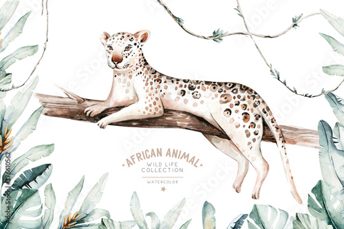 Watercolor painting a gepard . Wild cat isolated on white background. Africa safari leopard animal illustration