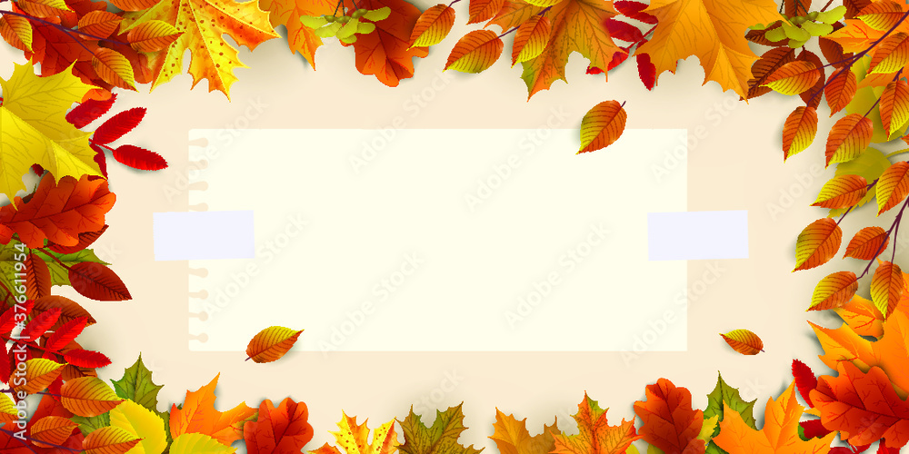 Greetings and gifts for the autumn and autumn season concept. Autumn background, poster and banner template with colorful autumn leaves. Greetings and gifts for the autumn and autumn season concept. Autumn background, poster and banner template with colorful autumn leaves.