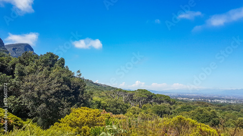 Panoramic view of Cape Town from Kirstenbosch National Botanical Garden.